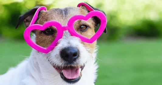 Fall in love with these Valentine’s Day optimisation tips